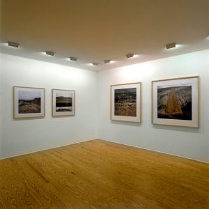 Terza Natura, a.antonopoulou.art gallery, Athens, 2003